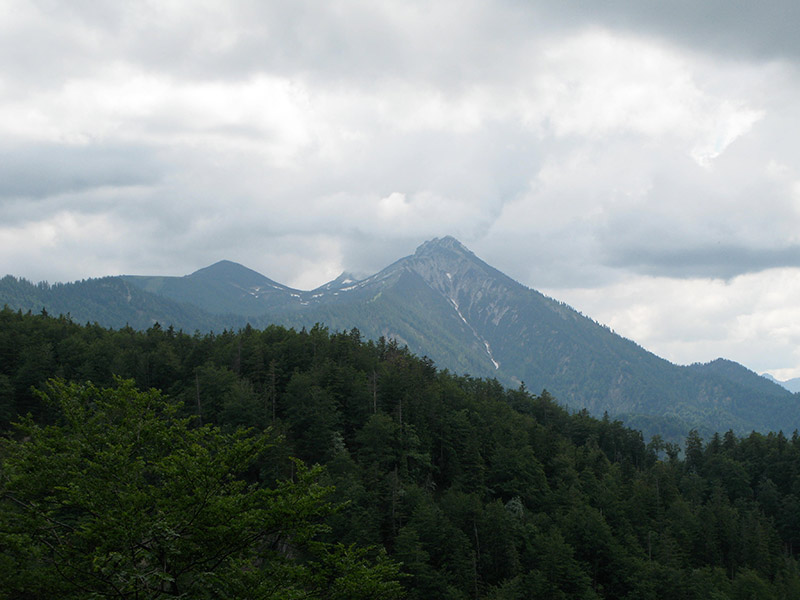 waldschoeckl
